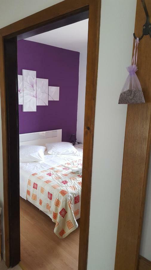 Apartmani Marenda سوبيتارسكا دراغا المظهر الخارجي الصورة